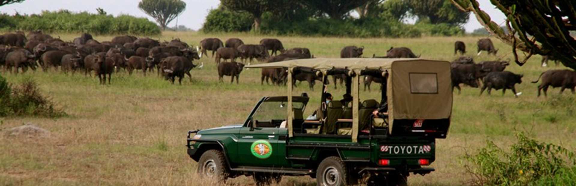 Queen Elizabeth National Park